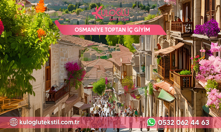 Osmaniye Toptan İç Giyim