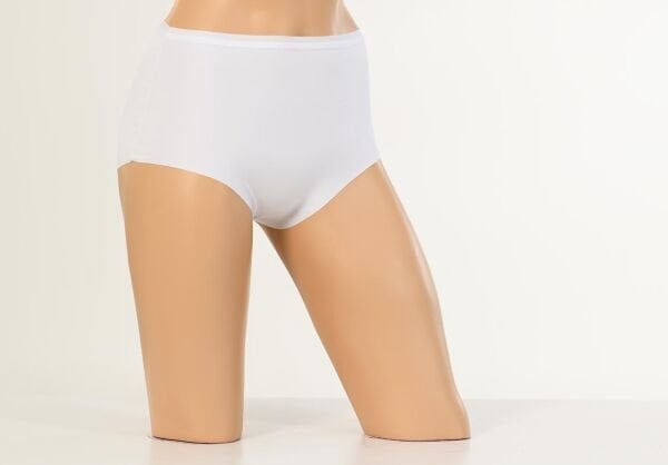 DEZALUX 3060 BAYAN YÜKSEK BEL DİKİŞSİZ KÜLOT