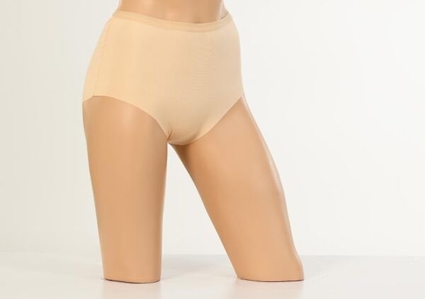 DEZALUX 3060 BAYAN YÜKSEK BEL DİKİŞSİZ KÜLOT