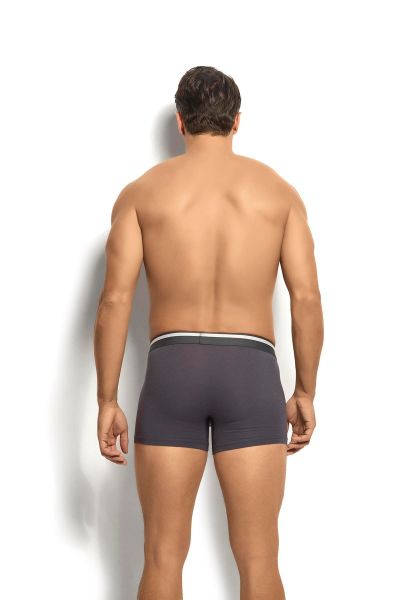 JİBER 243 ERKEK 3 LÜ MİKROMODAL BOXER