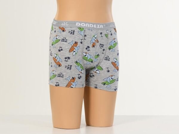 DONDEZA 503 ERKEK DESENLİ ÇOCUK BOXER