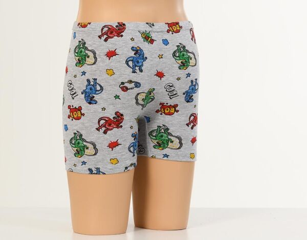 DONDEZA 507 ERKEK DESENLİ ÇOCUK BOXER
