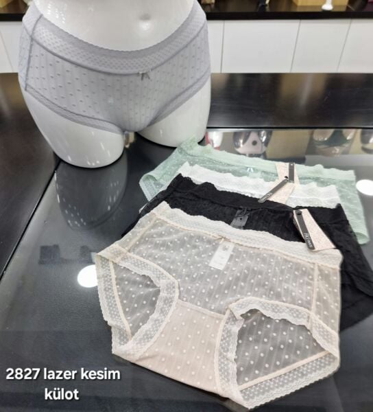 FK 2827 LAZER BİKİNİ