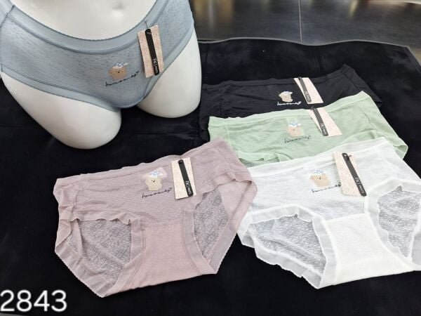 FK 2843 LAZER BİKİNİ