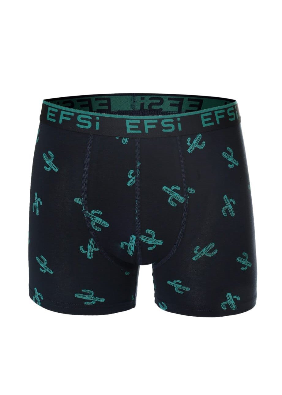EFSİ 3009 ERKEK DESENLİ BOXER