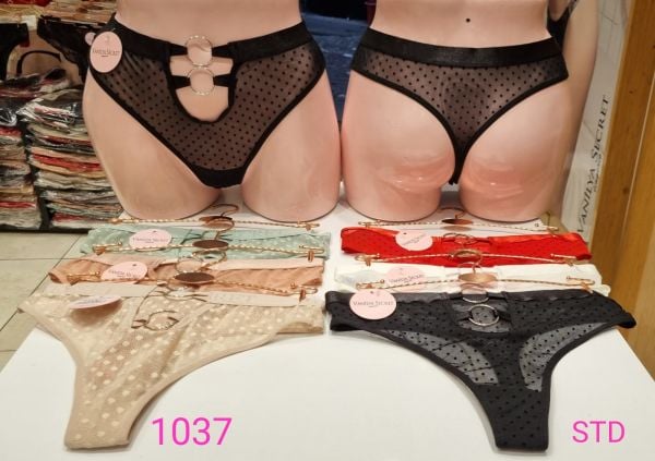 VANİLYA 1037 BAYAN BİKİNİ STANDART