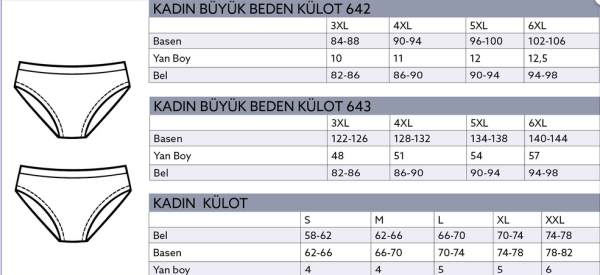 JİBER 621 BAYAN MODAL BOXER