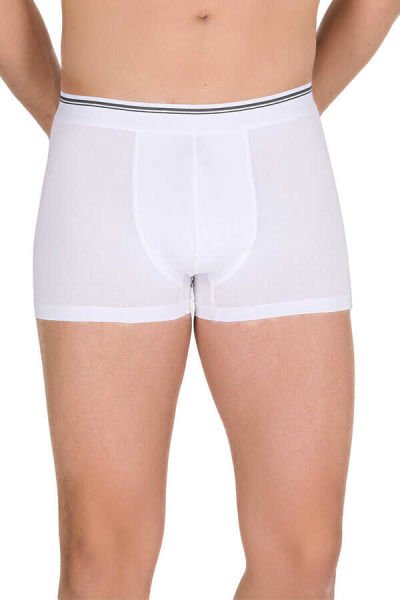 BERRAK 1097 ERKEK BOXER 10 LU