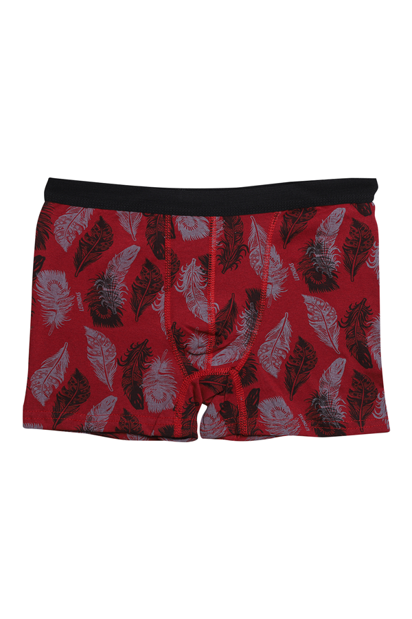 MENBOX 3001 ERKEK DESENLİ ÇOCUK BOXER