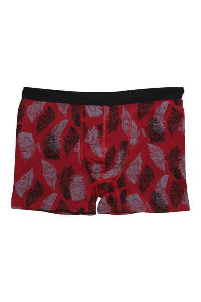 MENBOX 3001 ERKEK DESENLİ ÇOCUK BOXER