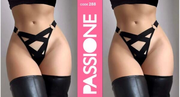REAL PASSIONE 288 FANTAZİ KÜLOT S/M-L/XL 10 LU