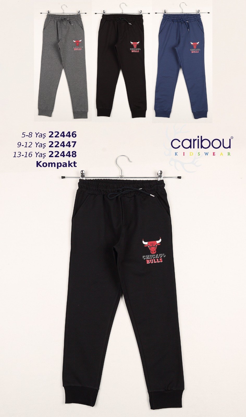 CARİBOU 22446 ERKEK 5-8 YAŞ CHICAGO BULLS ALT