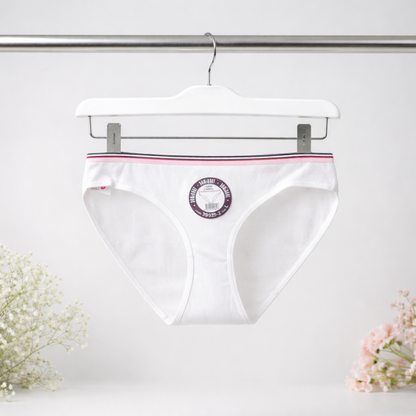 DOMİNANT 39925-2 BAYAN BİKİNİ (30 LU LOT)