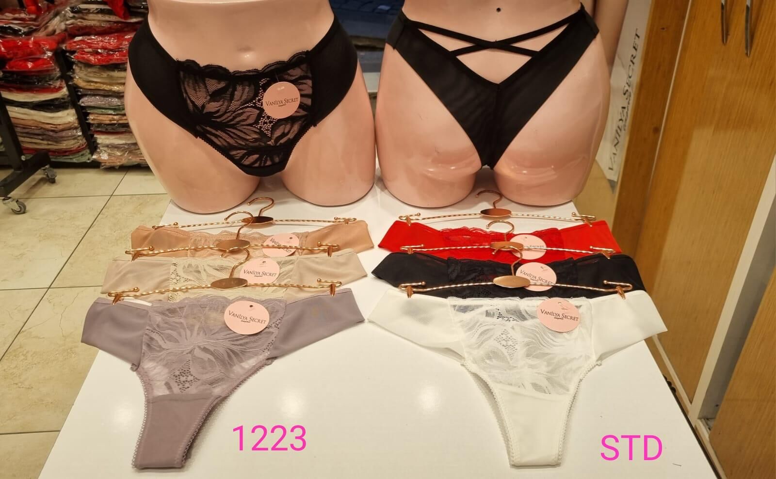 VANİLYA 1223 BAYAN BİKİNİ STANDART