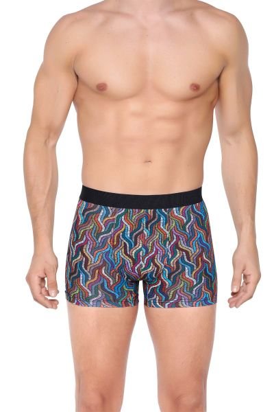 BERRAK 4431 ERKEK DİJİTAL BASKI BOXER 10 LU